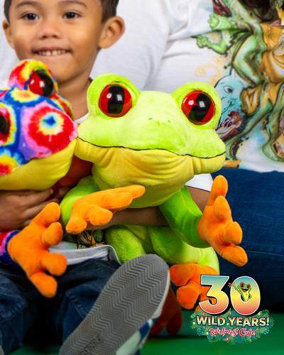 A child holds a large, colorful stuffed frog toy with big red eyes and orange hands and feet. In the background, there are blurred figures of people and a celebratory text ‘30 WILD YEARS! Rainforest Cafe’ with an illustration of a tree frog sticking out the 0.