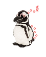 A stuffed Magellanic penguin toy with white linear details, a white belly, and pink circles around its eyes. Behind the penguin are pink bird footprints leading from the bottom right of the image to the top right, ending in a pink bird icon. The background is plain white.
