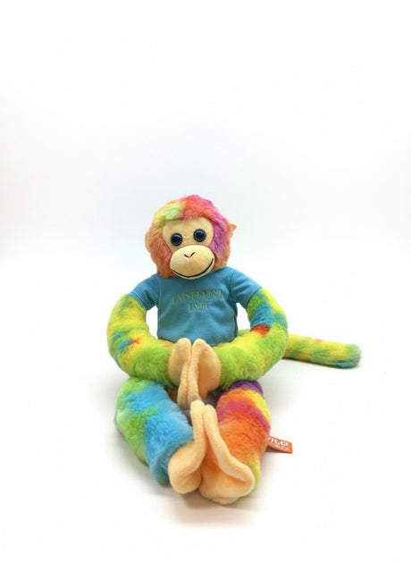 Rainforest Cafe | Hanging Rainbow Monkey | 20