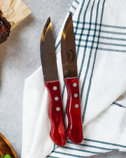 two saltgrass steak knives on top of a white linen kitchen towel