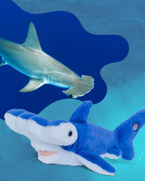 Fahlo | The Voage Hammerhead Shark | Plush – Landry's Inc.