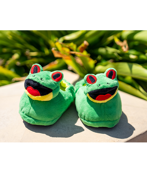 Ll bean 2025 frog slippers