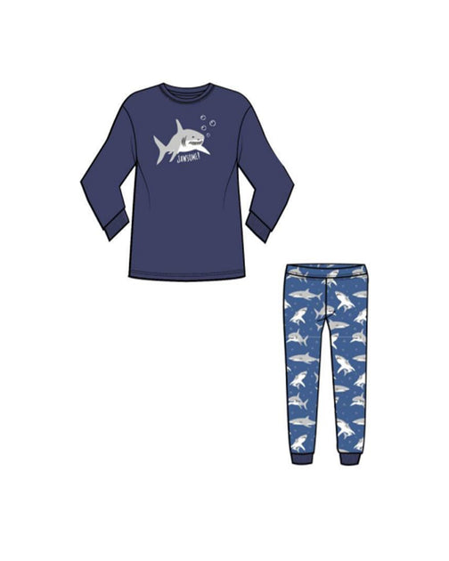 Aquarium Pajamas – Landry's Inc.