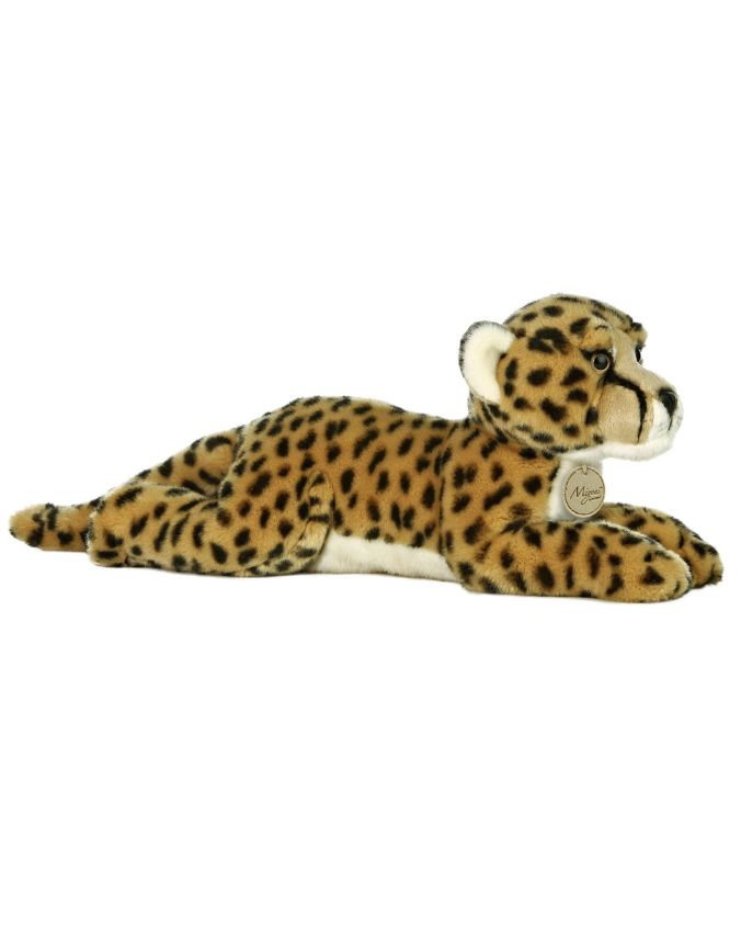 Yak & Yeti | Miyoni Cheetah | 17
