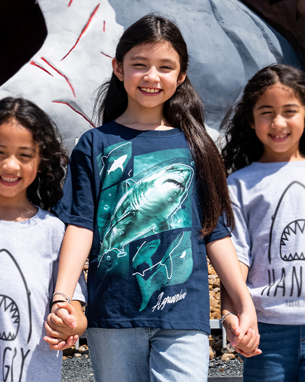 little girl holding hands with siblings wearing Blue tee shirt with a shark outlined. Overlapped of four squares, top left square has a shark silhouette and an outline over it. Bottom right has a shark silhouette. Bottom right reads "aquarium".