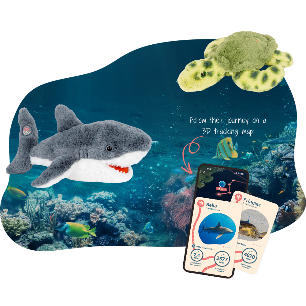 Plush shark and turtle with 3D tracking map app on an underwater-themed background