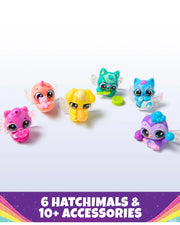 Hatchimals | Rainbow Hatchery