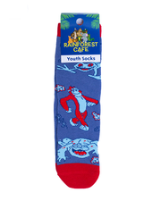 A pair of new youth socks from Rainforest Cafe, featuring playful red and blue frog designs on a blue background, displayed on a card with the Rainforest Cafe logo and labeled as ‘Youth Socks.