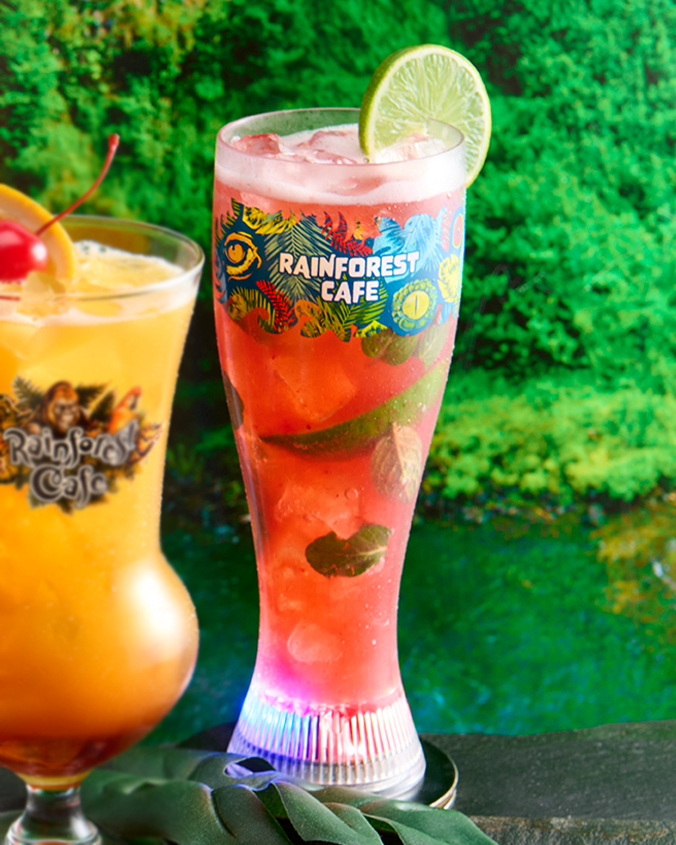 A vibrant scene at the Rainforest Cafe featuring two refreshing beverages: on the left, an orange-colored drink topped with a cherry and orange slice, and on the right, a red cocktail garnished with a lime slice. Both are set against a lush green backdrop, with ‘Rainforest Cafe’ written on the glasses, placed on a stone surface amidst green foliage.