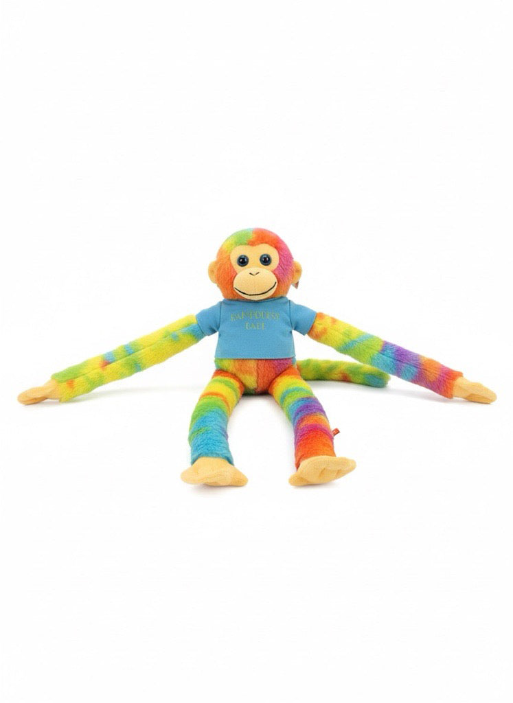 Rainforest Cafe | Hanging Rainbow Monkey | 20