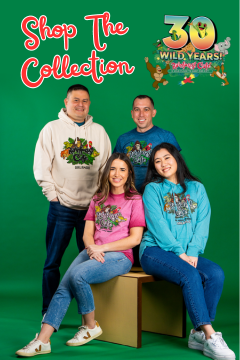 Four individuals standing against a green background with the text “Shop The Collection” at the top and “30 Wild Years!” at the bottom. They are wearing various colored hoodies with graphic designs, which indicates a casual fashion line. The central figure is seated on a wooden stool, while the other two stand behind, slightly to each side. 