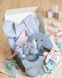 Rainforest Cafe | Baby Tuki | Gift Box