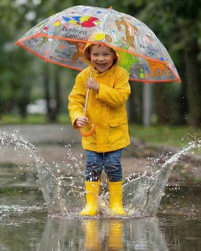 ザミネラル6　umbrella様 Rainforest Cafe | Wild Bunch | Umbrella – Landry's Inc.