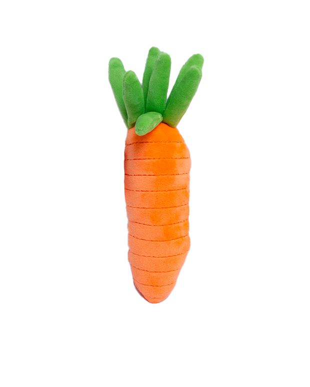 back view of orange carrot.