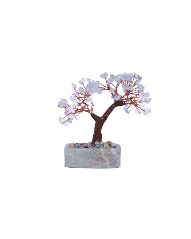 White bonsai tree in soapstone pot in front of white background.