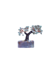 Grey bonsai tree in soapstone pot in front of white background.