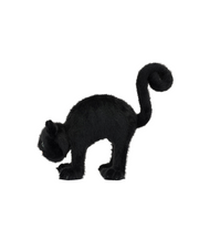 Jellycat | Spookipaws Cat | Plush