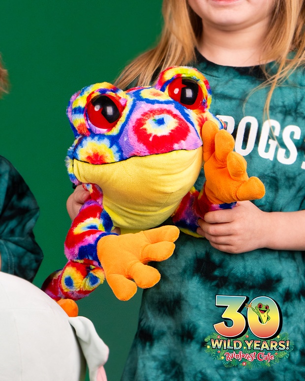 A child holding a colorful stuffed frog toy, wearing a green tie-dye shirt. Bottom right corner of image has a logo that says ‘30 WILD YEARS! Rainforest Cafe’ on it with a tree frog coming out the zero.