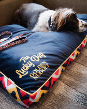 Brown and white dog resting on Golden Nugget dog bed with Golden Nugget dog leash placed on bed.