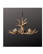 King Ranch Chandelier with Antlers collected naturally all over the United states.  