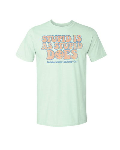 Mint color short sleeve adult tee with light orange and light blue front graphics. The shirt graphics say, "Stupid is as stupid as Bubba Gump Shrimp Co." The graphics has a winking smiley face instead "o" in word "does"